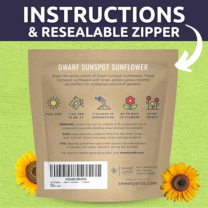 Dwarf Sunspot Sunflower - Large 1 Ounce Packet - 500 Flower Seeds for Planting - Helianthus annuus