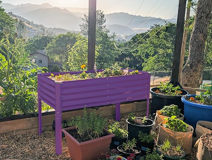 Galvanized Raised Garden Beds Outdoor with Legs // 48×24×31in Elevated Planter Box for Vegetables, Flowers (Purple) // Large Metal Garden Bed for Backyard Patio Gardening