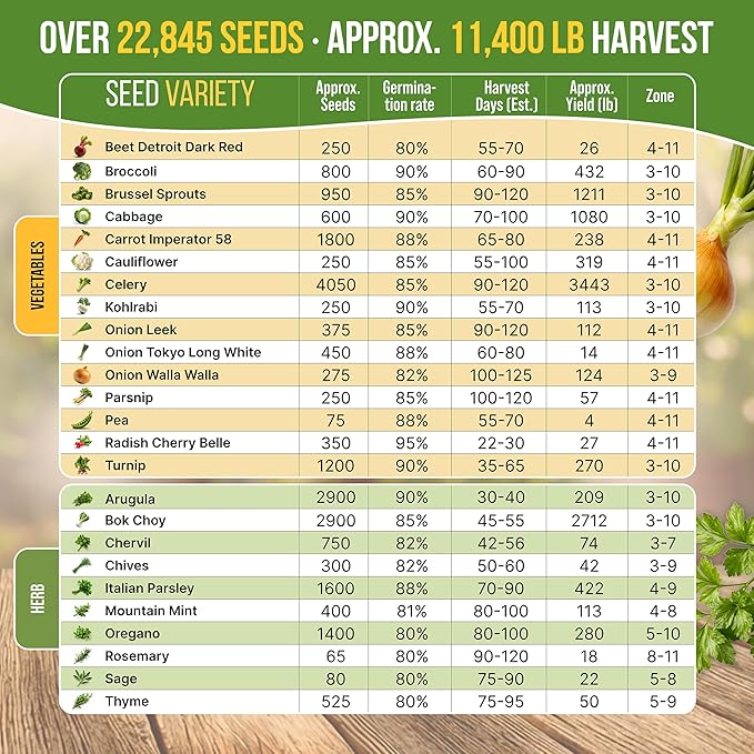 Organo Republic 25 Winter Vegetable & Herb Garden Seeds Variety Pack for Outdoors & Indoor Home Gardening 22,840+ Non-GMO Heirloom Seeds Broccoli Beet Carrot Cabbage Radish Pea Mint Thyme Parsley