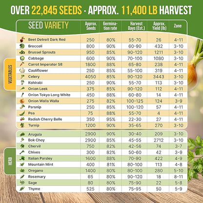 Organo Republic 25 Winter Vegetable & Herb Garden Seeds Variety Pack for Outdoors & Indoor Home Gardening 22,840+ Non-GMO Heirloom Seeds Broccoli Beet Carrot Cabbage Radish Pea Mint Thyme Parsley