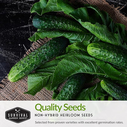 Vegetable Garden Seed Vault for Planting – 15 Pack Collection | Heirloom Non-GMO Family Garden Kit & Gift – Tomato, Lettuce, Cucumber & Squash – Indoor or Outdoor Growing – Survival Garden Seeds