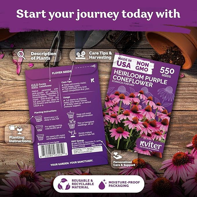 KVITER 550 Purple Coneflower Seeds (Echinacea Purpurea) – Echinacea Herb Flower Seeds For Planting, Medicinal Wild Flower Seed Packets – Wildflower Pollinator for Home Garden, Containers, Flowers Beds