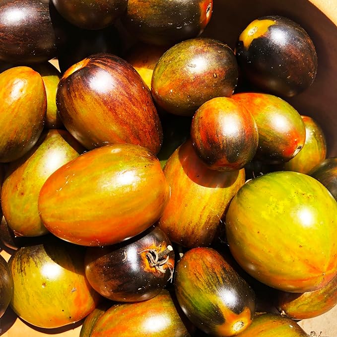 Organic Brad's Atomic Grape Tomato Seeds (Solanum lycopersicum) 150 Seeds (0.5 Grams) - Tie-dye Psychadelic Heirloom Open Pollionated Tomato Seeds by Smoke Camp Crafts