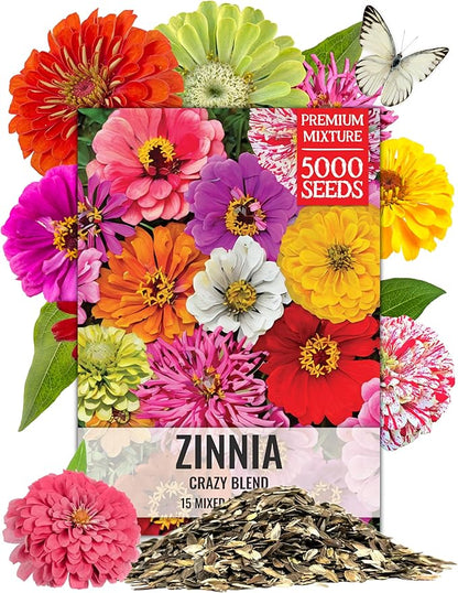 Seed Needs Crazy Zinnia Seeds 15+ Varieties Specialty Blend | 5,000+ Seeds Zinnia Elegans Open Pollinated | Includes California Giants, Candystripe & State Fair Species | Bulk