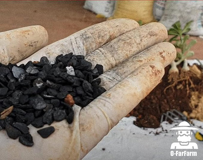 Horticultural Charcoal for Potted Plants 2 QT, Hardwood Charcoal for Potting Soil Amendment, Orchids, Terrariums, and Gardening