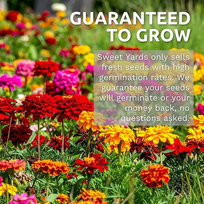 Bulk Zinnia Seeds - California Giants Mix - 5 Pounds - Over 240,000 Flower Seeds - Mixed Colors and Large Blooms