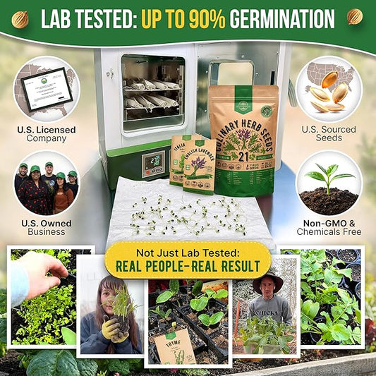 21 Culinary Herb Seeds Variety Pack - Heirloom, Non-GMO, Herb Seeds for Planting Outdoor and Indoor - Home Gardening. Over 11,400+ Seeds Including Rosemary, Thyme, Oregano, Mint, Basil, Parsley & More