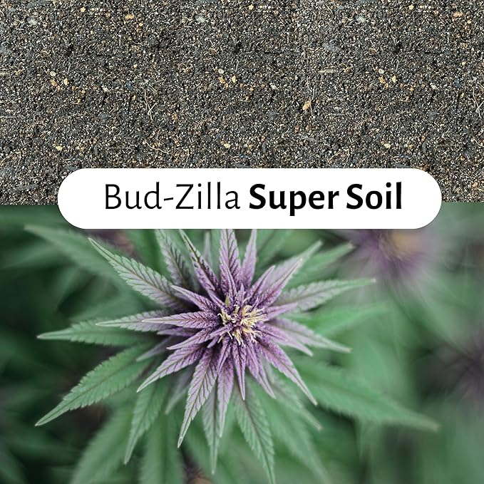 Bud-Zilla Potting Soil, 4 QT Bag, with Compost, Biochar, Mycorrhizae, Coconut Coir, Worm Castings, and Silica Sand