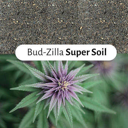 Bud-Zilla Potting Soil, 4 QT Bag, with Compost, Biochar, Mycorrhizae, Coconut Coir, Worm Castings, and Silica Sand