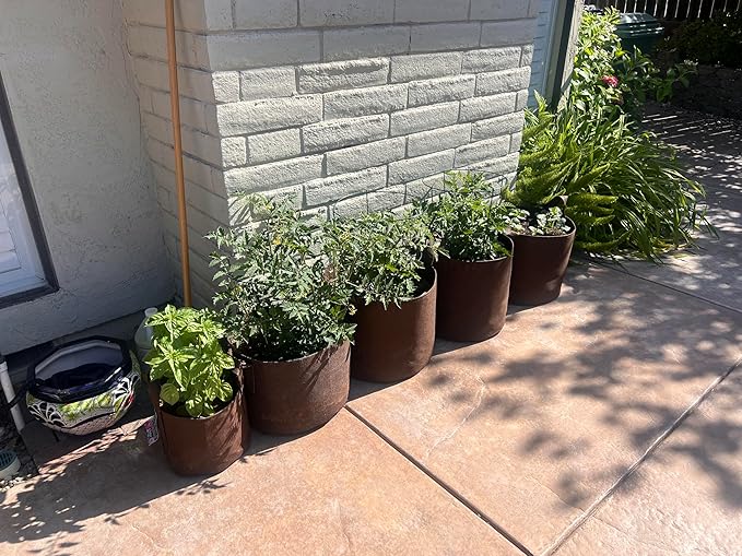MAUI MIKE'S Soft POTS (3 Gallon) (5 Pack) Best Grow Bag Fabric Garden Pots from Thicker Material. Made from Recycled from Plastic Water Bottles.Lasts for Years.