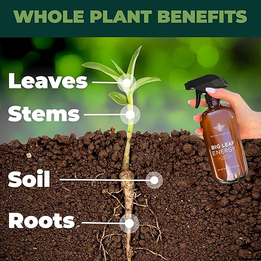 Plant Parent Houseplant Care Kit - Fertilizer, Organic Leaf Wellness, Microfiber Gloves for Plants