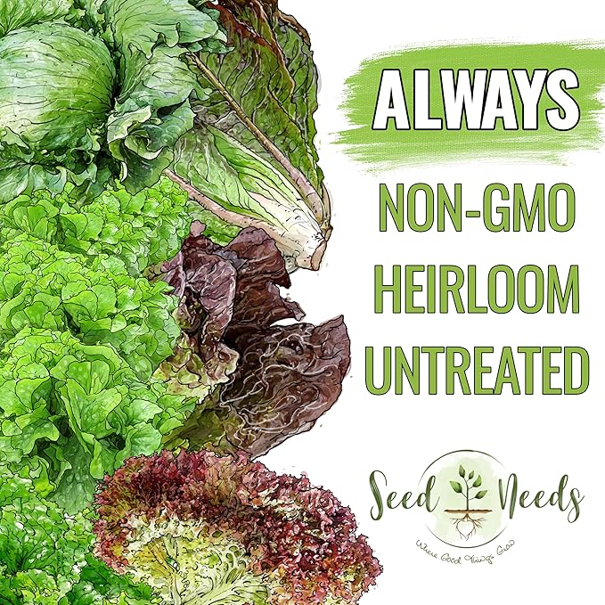 Seed Needs Lettuce Seeds for Planting - Non-GMO Heirloom & Untreated - Grow a Home Grown Outdoor Garden or an Indoor Hydroponics Garden - Homestead Sampler Kit (14 Packs)