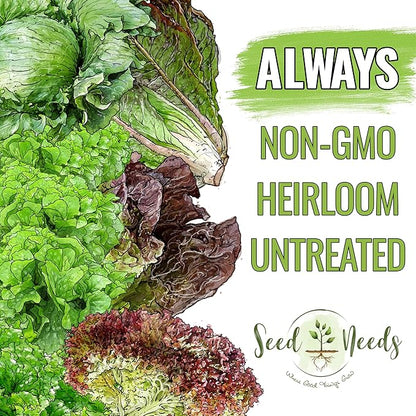 Seed Needs Lettuce Seeds for Planting - Non-GMO Heirloom & Untreated - Grow a Home Grown Outdoor Garden or an Indoor Hydroponics Garden - Homestead Sampler Kit (14 Packs)
