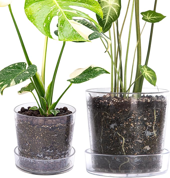 Phoenix Vine 6.5 Inch 8 Inch Clear Acrylic Houseplants Planter Pot with Tray, Orchid Pot with Drainage Holes, Deep Saucer for Bottom Watering, Transparent Containers for Indoor Plants, Herbs, 91-B-X