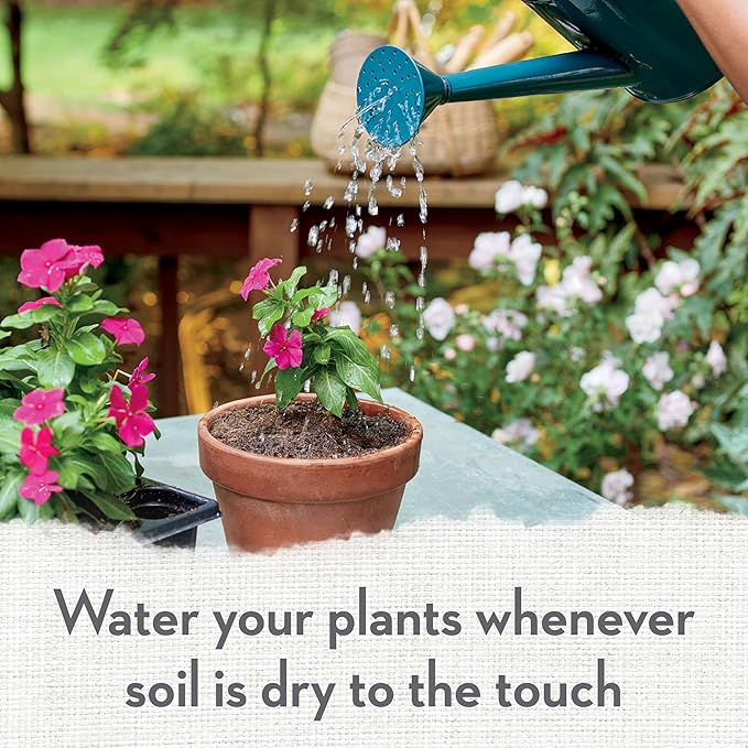 Whitney Farms Organic Potting Soil - Natural Indoor and Outdoor Container Mix for Vegetables, Herbs and Flowers, Feeds Plants up to 2 Months - 8 qt.