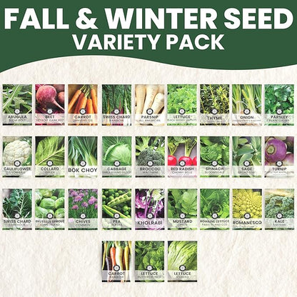 Fall & Winter Seed Variety Pack | 30 Invidiual Packs | 2026 Season | Non-GMO | Beets, Arugula, Carrots, Lettuce & More! | for Planting Indoor & Outdoor | by Family Sown