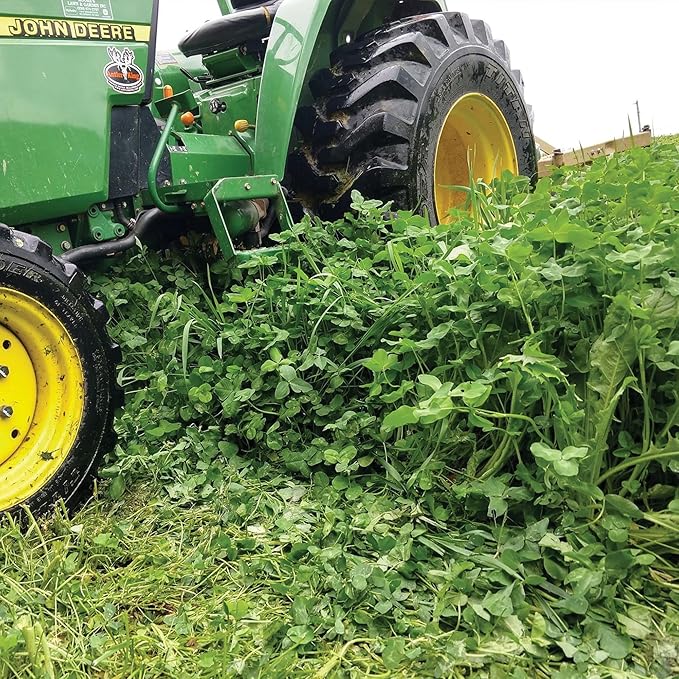 Antler King Clover Fuel Food Plot Enhancer | Liquid Fertilizer for Legumes (Clovers, Soybeans & Alfalfa) Helps Deer Food Plots Grow Faster, Thicker & Last Longer