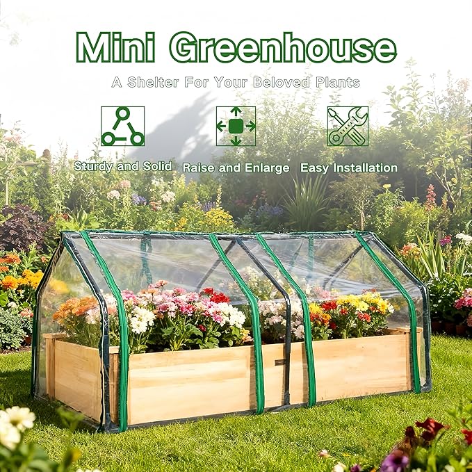 4x2ft Raised Garden Bed with Greenhouse Cover,Wooden Planter Box with Clear PVC Cover & Dual Roll-Up Windows,Outdoor Elevated Garden Box for Vegetables/Herbs/Flowers,Patio,Balcony,Backyard