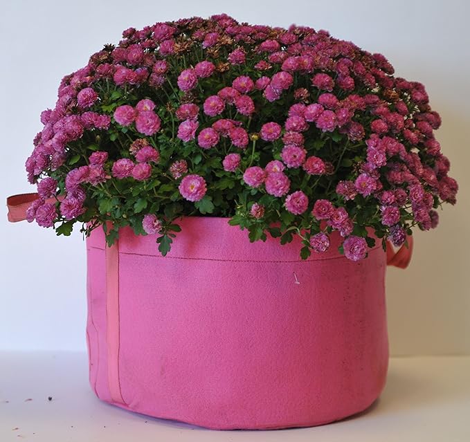 EnRoot Products LLC RootEase 5-Pack Garden Planting Fabric Pot, Heavy Duty Durable Grow Bags/Planter, Raised Bed Gardening, Best Eco-Friendly Grow Bags with Sturdy Handles (3 Gallon, Pink)