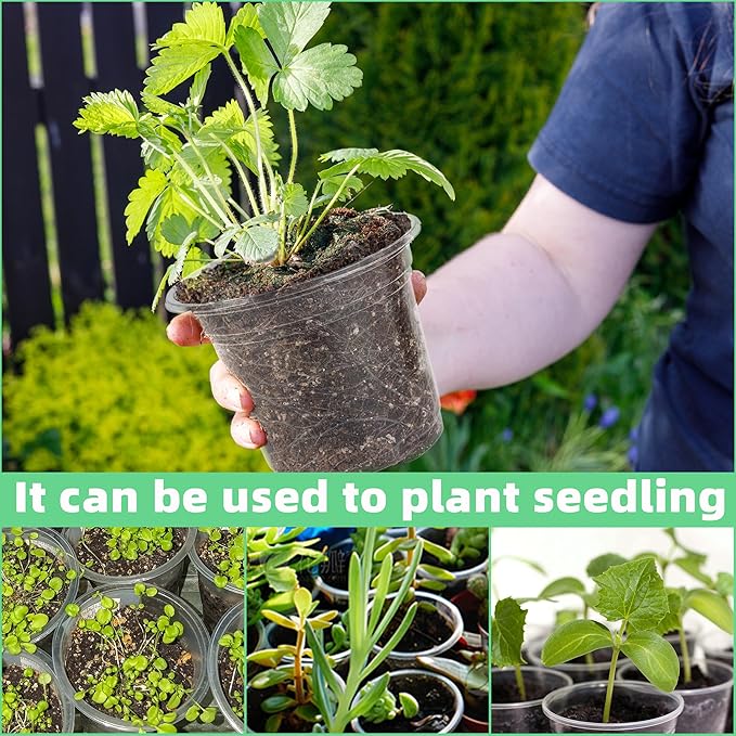 Small Plastic Plant Nursery Pot/Pots (36 Packs 5/4/3.5 Inch Plant Pot and 40 Plant Labels) Seedlings Flower Plant Container (Transparent) Seed Starting Pots Indoor Outdoor