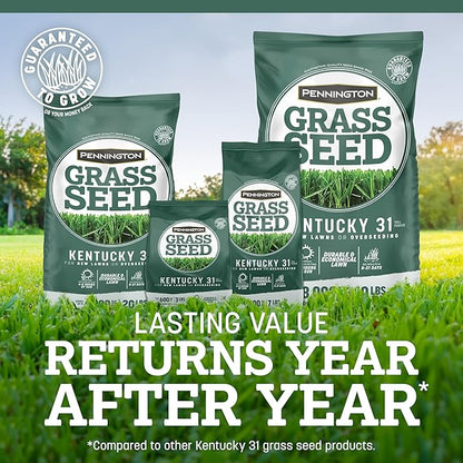 Pennington Kentucky 31 Tall Fescue Grass Seed 20 lb