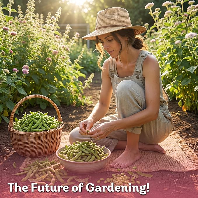 KVITER 40 Soy Bean Midori Giant Edamame Seeds (Glycine max) - Green Soybean, Soy Beans Organic Non GMO Variety, Sweet Nutty Flavor - Heirloom Vegetable Seeds for Planting Outdoors in Home Garden