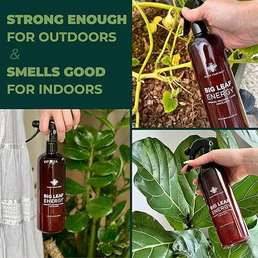 Plant Parent Houseplant Care Kit - Fertilizer, Organic Leaf Wellness, Microfiber Gloves for Plants