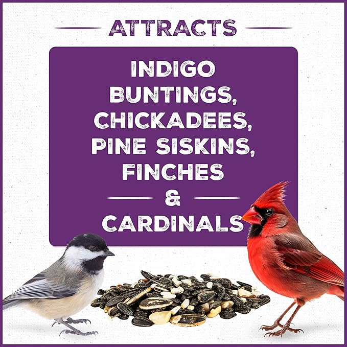 Pennington Pride Songbird Nut & Fruit Blend, Wild Bird Seed for Outside Feeders, Advanced Nutrition Formula for Health, Bird Food, 10-lb. Bag