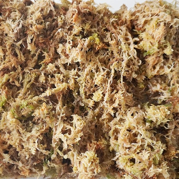 11 oz Sphagnum Moss for Plants, Carefully Selected Clean Sphagnum Mos for Rooting Plants