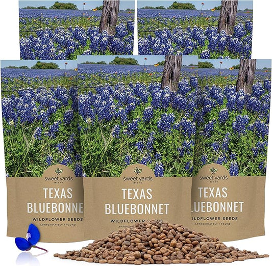 Bulk Texas Bluebonnet Wildflower Seeds - 5 Pounds - Over 80,000 Native Seeds - Texas State Flower!