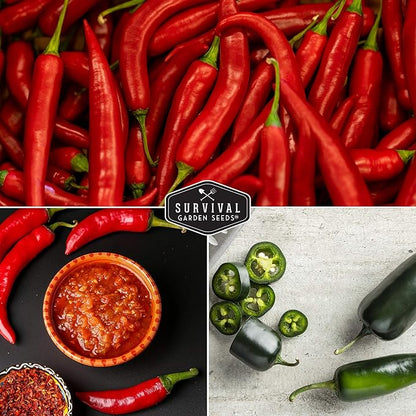 Hot Pepper Seeds Variety Pack for Planting | 4 Varieties: Jalapeno, Serrano, Cayenne & Habanero – Spicy Heirloom Chili Peppers for Hot Sauce & Salsa – Non-GMO – Survival Garden Seeds
