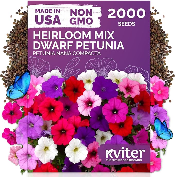 KVITER 2,000 Mix Dwarf Petunia Seeds for Planting Flowers (Nana Compacta) — Mini Petunia Flower Seeds, Annual, Organic & Non GMO — Beds, Hanging Baskets, Containers, Outdoor & Indoor Garden