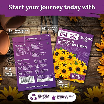 KVITER 10,000 Black Eyed Susan Seeds for Planting (Rudbeckia hirta) – Gloriosa Daisy Wildflower Seed, Heirloom, Non-GMO & Organic – Flower Seeds to Plant Outside & Inside, Borders, Containers