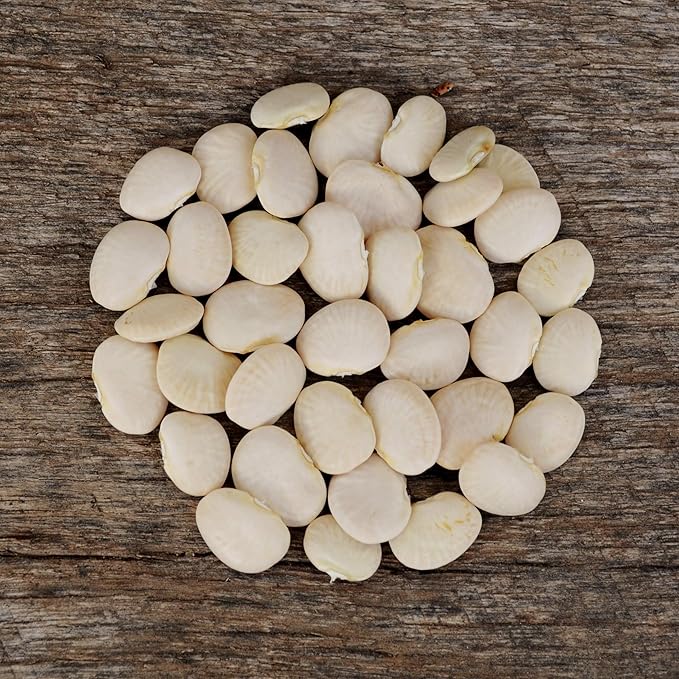 Henderson Bush Lima Bean - 50 Seeds - Heirloom White Butterbean Variety, USA-Grown, Non-GMO Baby Lima Bean Seeds for Planting Outdoors in The Home Garden, Thresh Seed Company