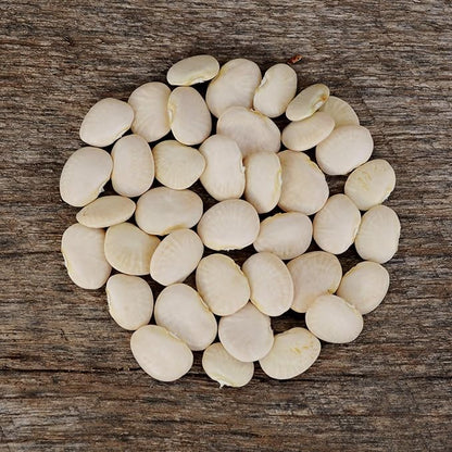 Henderson Bush Lima Bean - 50 Seeds - Heirloom White Butterbean Variety, USA-Grown, Non-GMO Baby Lima Bean Seeds for Planting Outdoors in The Home Garden, Thresh Seed Company
