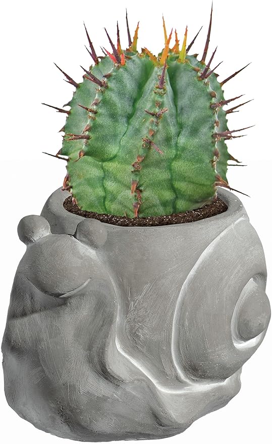 Classic Home and Garden Cement Buddies Animal Planter - Cute Desk Decoration - UV Coated Animal Vase w/Drain Plug - Succulent Plant Pot for Indoor/Outdoor Use (Snail Planter, Natural, Small)