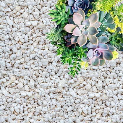 Perlite for Plants, Coarse and Chunky Horticultural Perlite, Organic Perlite for Gardening Indoor & Outdoor, Perlite Bulk Bag, Made in USA (20 quarts)