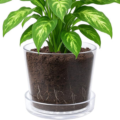 Phoenix Vine 10 Inch Clear Acrylic Planter Pot with Tray, Orchid Pot with Drainage Holes, Deep Saucer for Bottom Watering, Transparent Containers for Indoor Plants, Herbs, Set of 1, 91-A-H-1