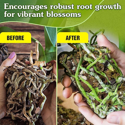 5-in-1 Orchid Potting Mix with Forest Moss, Pine Bark, Perlite, Zeolite, and Pumice – Orchid Soil, Orchid Repotting Kit for Healthy Roots, Fast Drainage, and Support for Growth 4 QRT