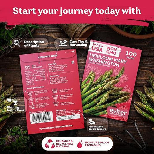KVITER 100 Mary Washington Asparagus Seeds (Asparagus officinalis) – Heirloom Non GMO Asparagas Seed Packets Rust Resistant Perennial – Aspergus Vegetable Seeds for Planting Outdoors, Home Garden