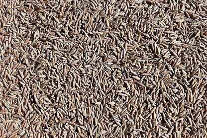 Plant Good Seed Organic Sweethearts Finnish Rye - Pack of 200 Heirloom Seeds for Planting Vegetables - Gardening Supplies, Grain Sprouting Seeds - Non-GMO, Open Pollinated, from USA