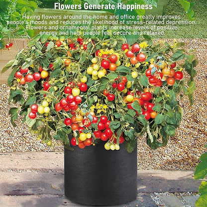 Taller Grow Bags for Deep Root Plants, 10 Gallon 6 Pack Thickened Nonwoven Fabric Pots with Short Handles, Washable Reusable Cloth Plant Bags for Vegetables, Pond Aquatic Plants