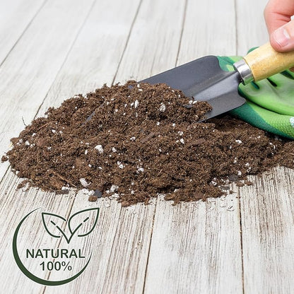 Money Tree Soil (4 Quarts), Potting Mix for Planting/Repotting Pachira Aquatica, All-Natural Custom Soil Blend