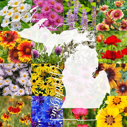 Michigan Bulk Perennial Wildflower Seed Mix 1lb Covers 2,000sq-ft - Attract Pollinators, Multi-Color Blooms - Midwest US Species Plant in Spring/Fall - Earth-Friendly Packaging (1/4 Pound)
