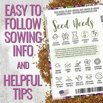 Seed Needs Alyssum Seeds for Planting - Heirloom & Untreated - Tender Perennial Flowers to Attract Pollinators to Rock Gardens, Pots, Containers & Window Boxes