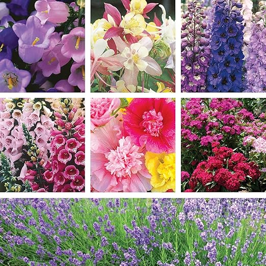 SUPERthrive Organic 4-4-4 All-Purpose Fertilizer, Solid Granular and Ferry-Morse English Cottage Perennial Garden Seed Variety Pack