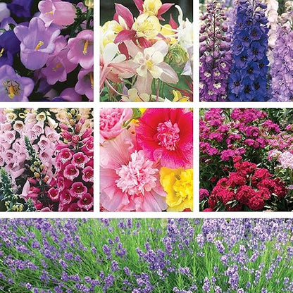 SUPERthrive Organic 4-4-4 All-Purpose Fertilizer, Solid Granular and Ferry-Morse English Cottage Perennial Garden Seed Variety Pack