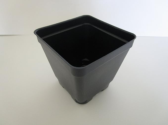 Set of 3 Trays Plus 54 POTS - 3.5" Square pots