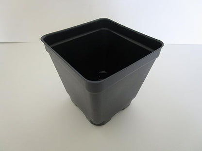 Set of 3 Trays Plus 54 POTS - 3.5" Square pots