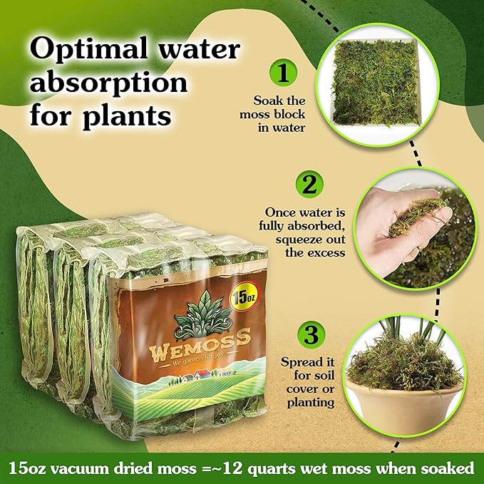 Natural Moss for Plants Indoor, Dried Moss for Potted Plants, Orchid Moss for Repotting, Forest Moss for Orchid Potting Mix, Decorative Moss Filler for Planters and Craft Moss (15oz)